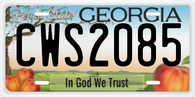 GA license plate CWS2085