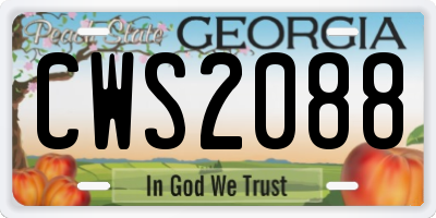 GA license plate CWS2088