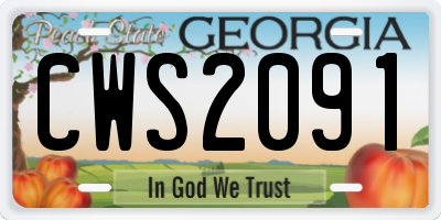 GA license plate CWS2091
