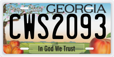 GA license plate CWS2093