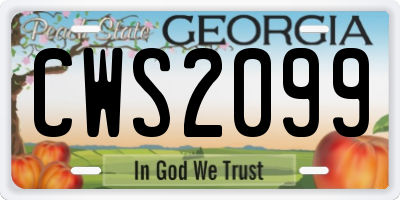 GA license plate CWS2099