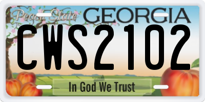 GA license plate CWS2102