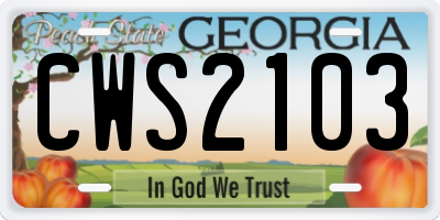 GA license plate CWS2103