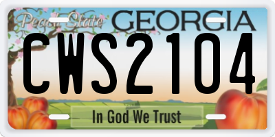 GA license plate CWS2104