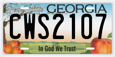 GA license plate CWS2107