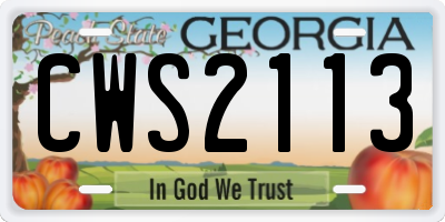 GA license plate CWS2113