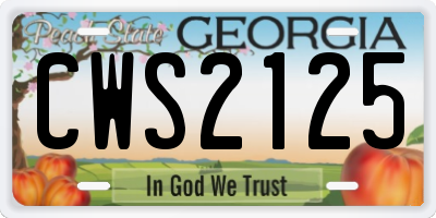 GA license plate CWS2125