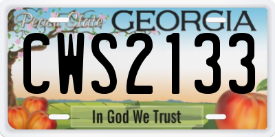 GA license plate CWS2133