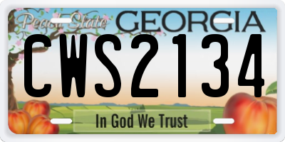 GA license plate CWS2134