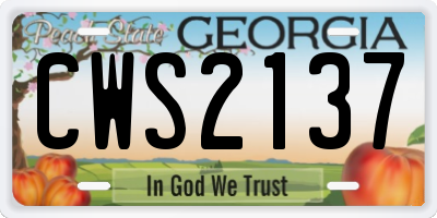 GA license plate CWS2137