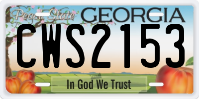 GA license plate CWS2153