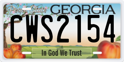 GA license plate CWS2154