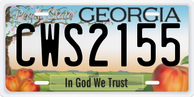 GA license plate CWS2155