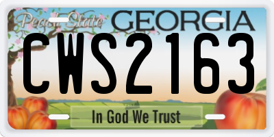 GA license plate CWS2163