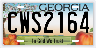 GA license plate CWS2164