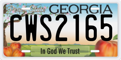 GA license plate CWS2165
