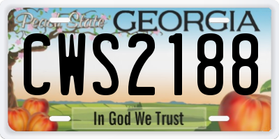 GA license plate CWS2188