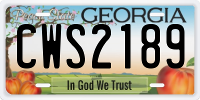 GA license plate CWS2189