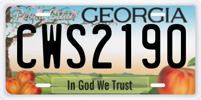 GA license plate CWS2190