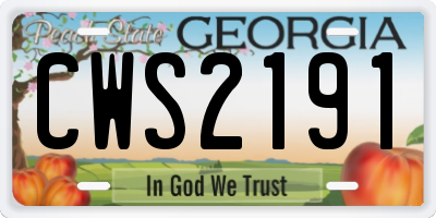 GA license plate CWS2191