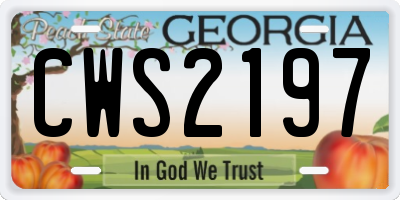 GA license plate CWS2197