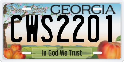 GA license plate CWS2201