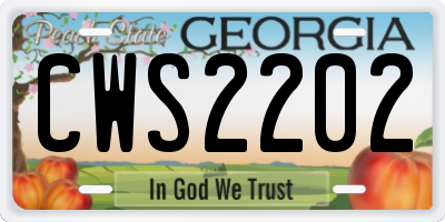 GA license plate CWS2202