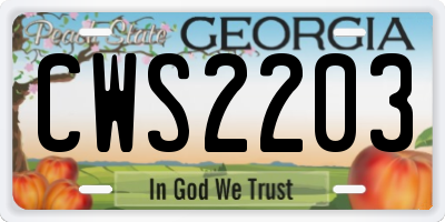 GA license plate CWS2203