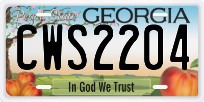 GA license plate CWS2204