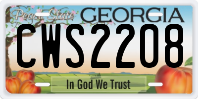 GA license plate CWS2208