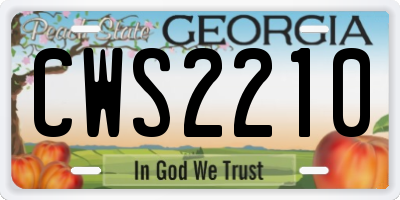 GA license plate CWS2210