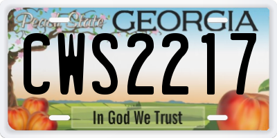 GA license plate CWS2217