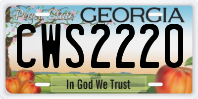GA license plate CWS2220