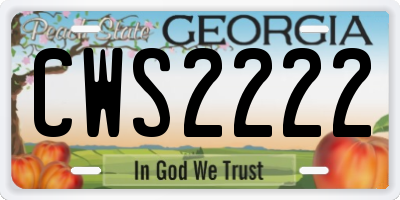 GA license plate CWS2222