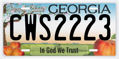 GA license plate CWS2223