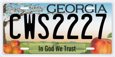 GA license plate CWS2227