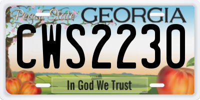 GA license plate CWS2230