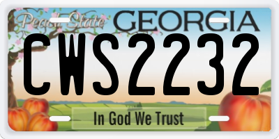 GA license plate CWS2232