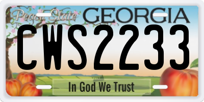 GA license plate CWS2233