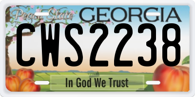 GA license plate CWS2238