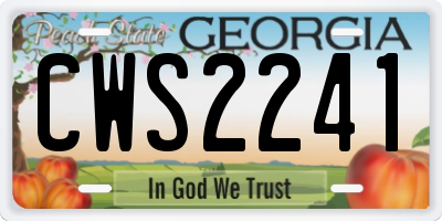 GA license plate CWS2241