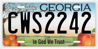 GA license plate CWS2242