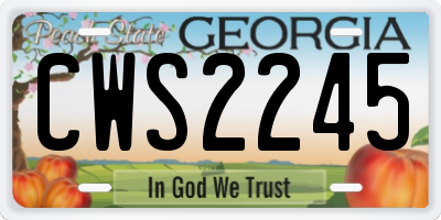 GA license plate CWS2245