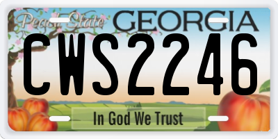 GA license plate CWS2246