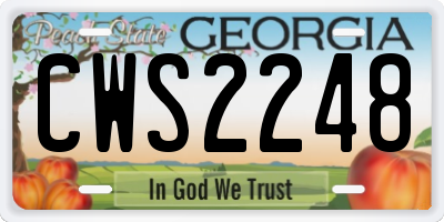 GA license plate CWS2248
