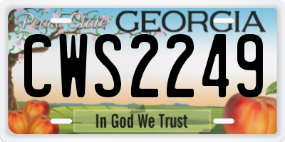 GA license plate CWS2249