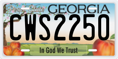 GA license plate CWS2250