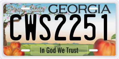 GA license plate CWS2251