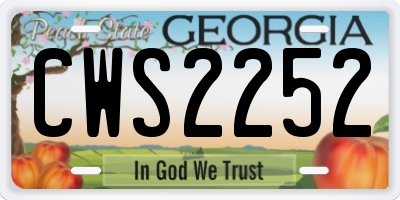 GA license plate CWS2252