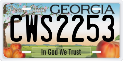 GA license plate CWS2253
